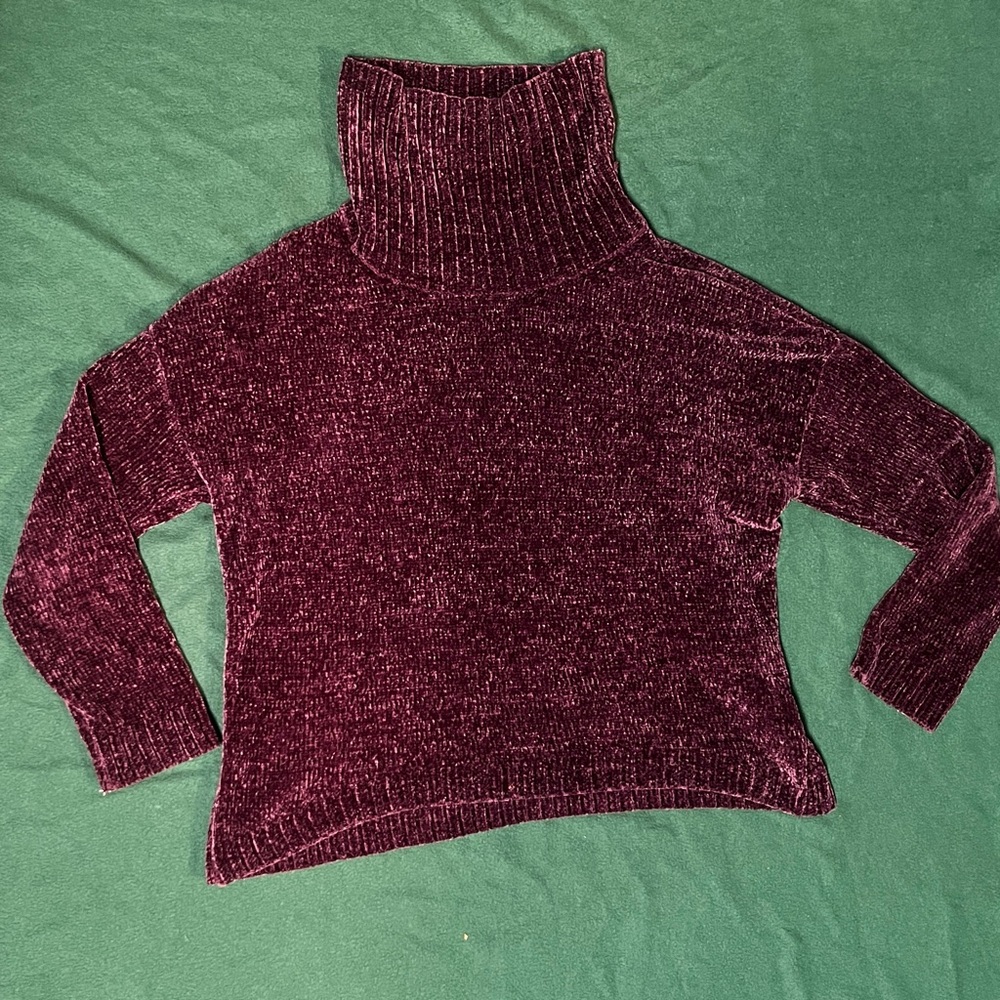 Velvet turtleneck